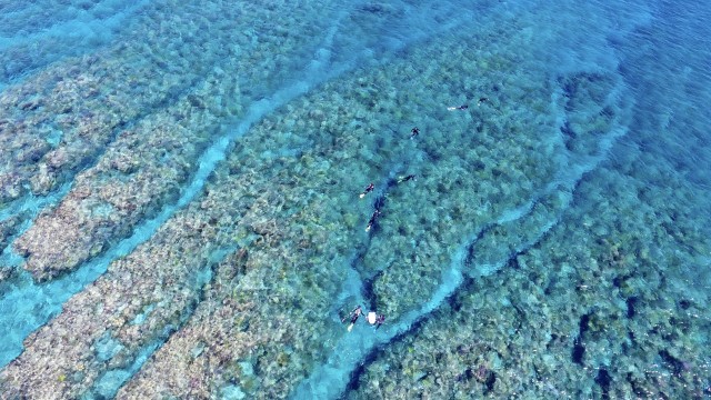 Visit Naha, Okinawa: Half-Day Kerama Islands Snorkeling Tour in Traverse City