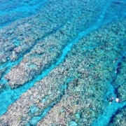 Naha, Okinawa: Half-Day Kerama Islands Snorkeling Tour