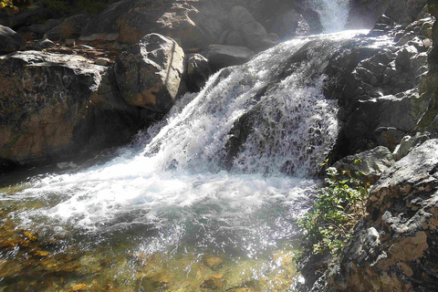 Von Marrakech aus: Atlasgebirge, Ourika-Tal und Kamelritt