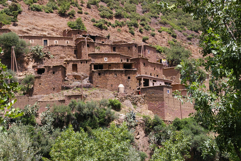 Desde Marrakech: montañas del Atlas, valle de Ourika y paseo en camello