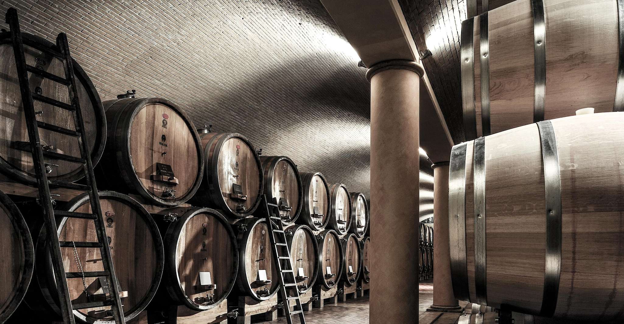 Valpolicella, tour della cantina guidata di 1,5 ore con degustazione di vini - Housity