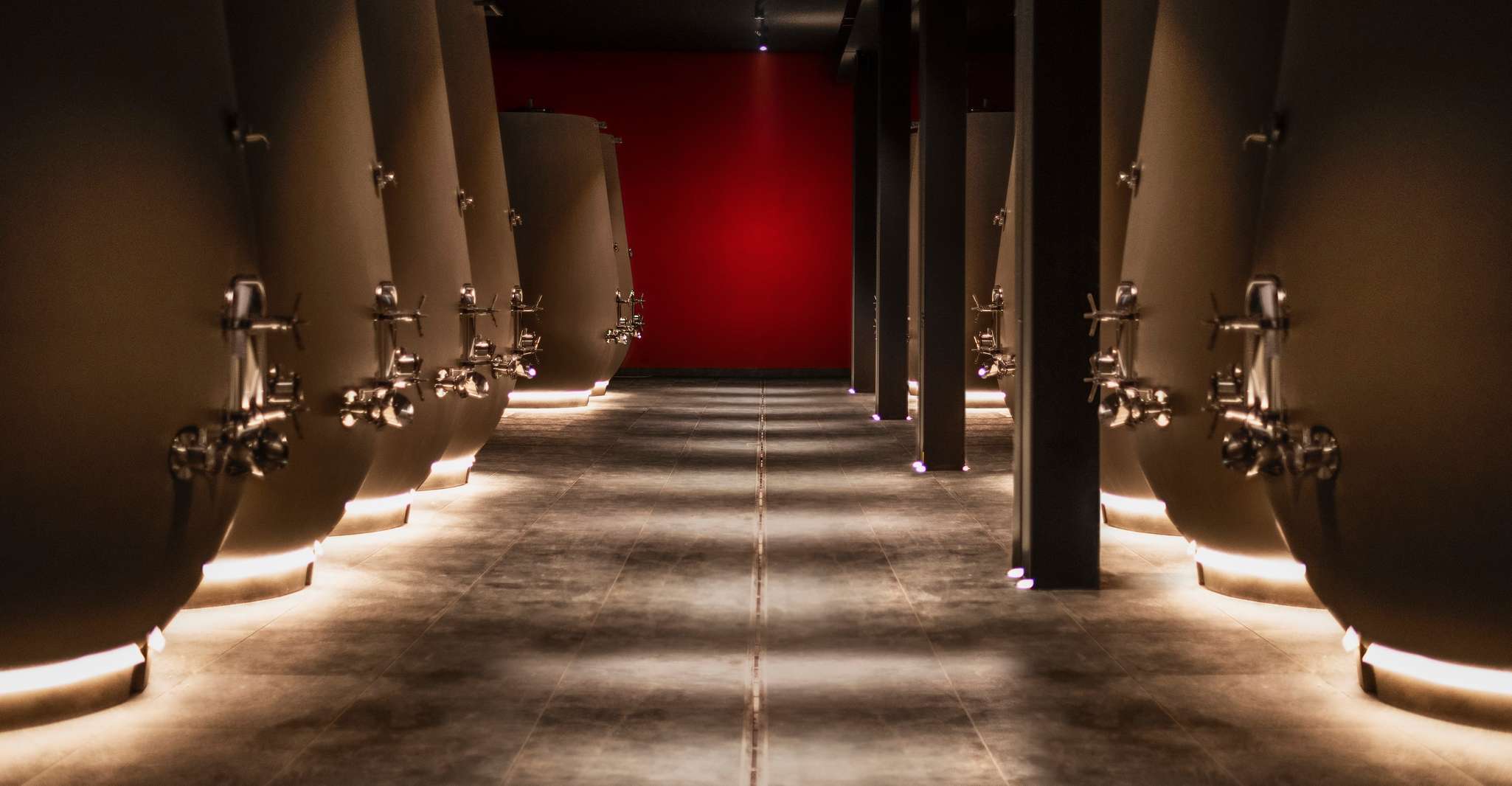 Valpolicella, tour della cantina guidata di 1,5 ore con degustazione di vini - Housity