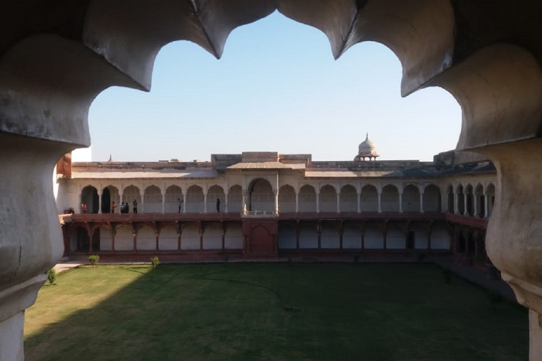 Au départ de Delhi : visite guidée d'une journée du Fort et du Taj Mahal