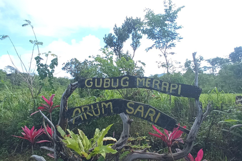 Yogyakarta: Radfahren &amp; Merapi-Lava-AussichtRadfahren &amp; Merapi Lava View über Gubug Arum Sari: Nicht-Wandern