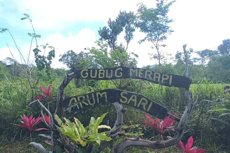 Yogyakarta: Radfahren &amp; Merapi-Lava-AussichtRadfahren &amp; Merapi Lava View über Gubug Arum Sari: Nicht-Wandern