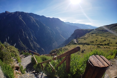Depuis Arequipa : excursion d'une journée au canyon de ColcaVisite avec frais d'entrée et déjeuner