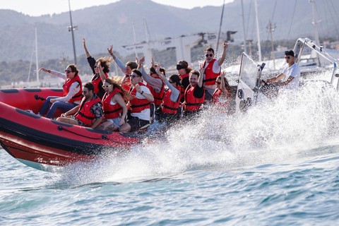 Palma de Mallorca: Sightseeing Speedboat Tour with Pickup Standard Seats