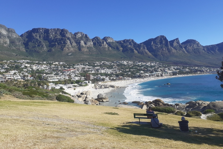 Cape Town: African Penguin Tour