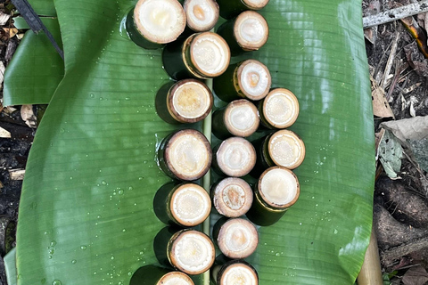 Chiang Rai: Jungle Adventure-Group Trekking & Bamboo Cooking