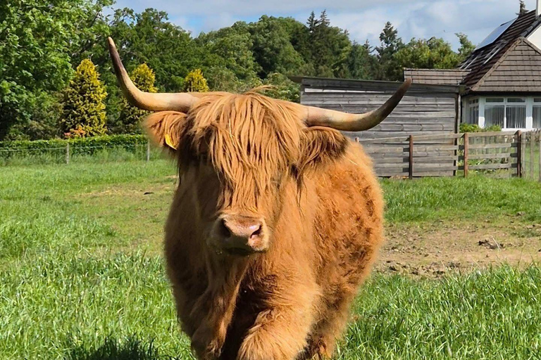 Invergordon: Loch Ness, Culloden, & Urquhart Castle Tour