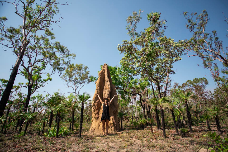 Da Darwin, gita di un giorno del parco nazionale di Litchfield - Housity