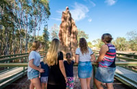 Van Darwin, Litchfield National Park Day Trip - Housity