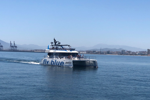 Malaga : Excursion en catamaran au coucher du soleil