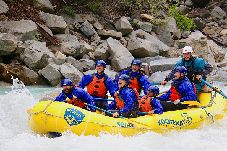Golden, BC: Kicking Horse River Whitewater Rafting Adventure