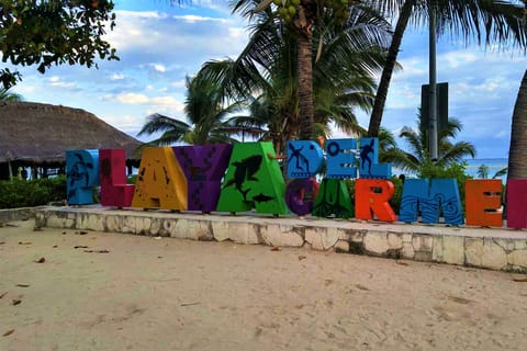 Playa del Carmen: tour privato a piedi con guida