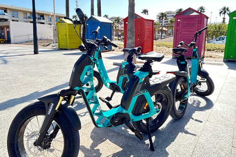 Valencia alles in één: stranden, oude stad &amp; stadskunsten per E-bikeGedeelde Tour Valencia Alles in één