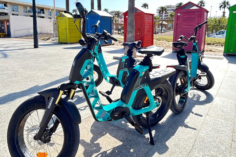 Valencia alles in één: stranden, oude stad &amp; stadskunsten per E-bikeGedeelde Tour Valencia Alles in één