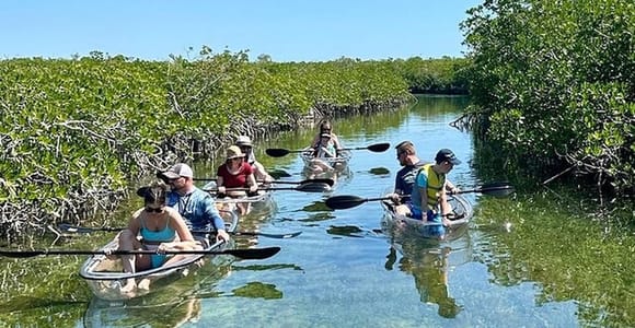 Key West Area: Guided Clear Kayak Eco-Tour