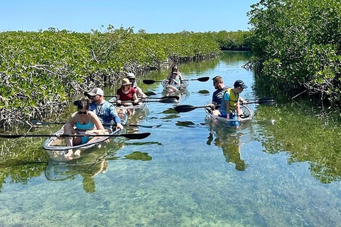 Key West Area: Guided Clear Kayak Eco-Tour