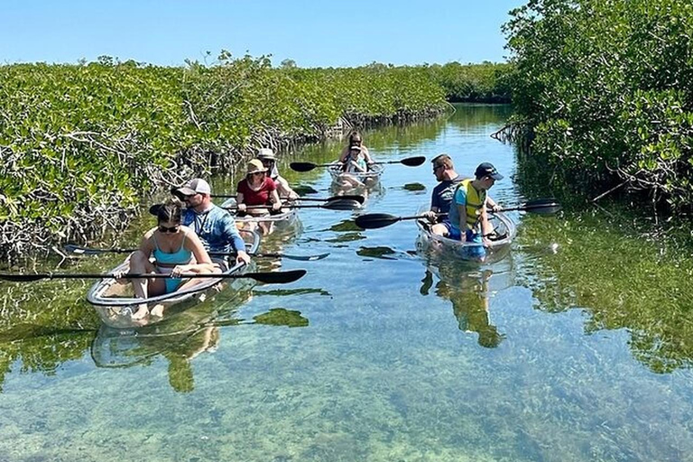 Key West Area: Guided Clear Kayak Eco-Tour