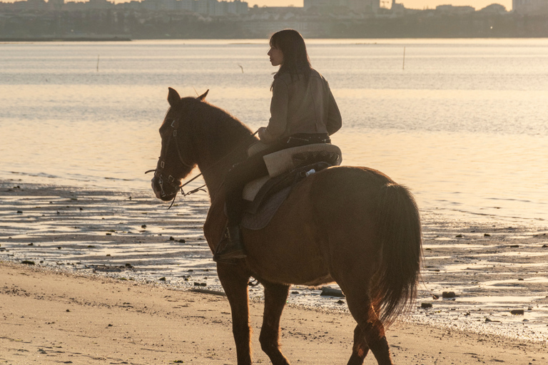 Horseback Riding On The Beach At Sunset