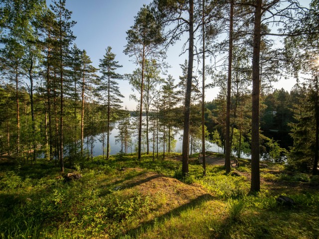 Visit Nuuksio forest tour, campfire coffee and social media photos in Nuuksio National Park