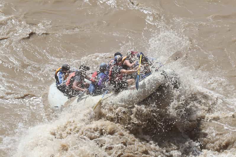 Moab Whitewater Rafting on the Colorado River GetYourGuide