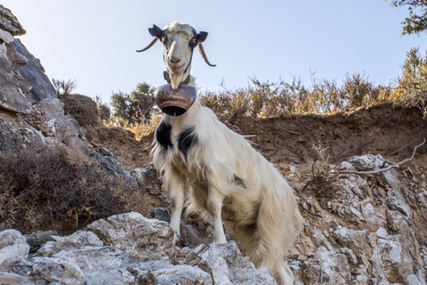 Chania: Tour di Balos e Falassarna con lettini e pranzoChania: tour di Balos e Falassarna con lettini e pranzo