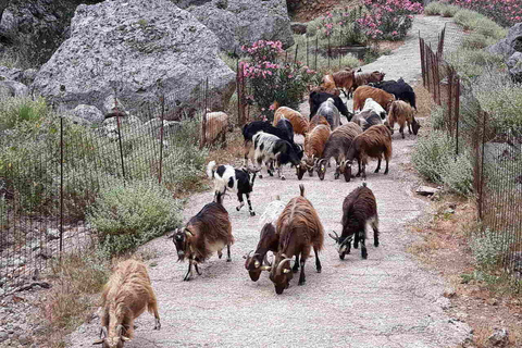 Chania: Tour di Balos e Falassarna con lettini e pranzoChania: tour di Balos e Falassarna con lettini e pranzo