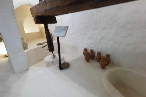Authentic Djerba: Underground Oil Mill, Palm Grove, Pottery & Mosque
