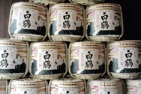 Kobe Sake & Western Heritage Cultural Day Tour from Osaka