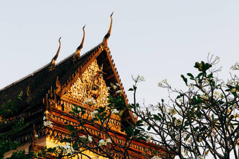 Siem Reap: 3-Hour Behind-the-Scenes Tuk-Tuk Tour Siem Reap: guided 3-hour tuk-tuk tour