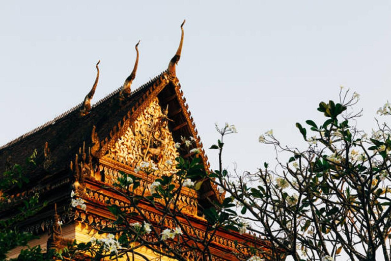 Siem Reap: 3-Hour Behind-the-Scenes Tuk-Tuk Tour Siem Reap: guided 3-hour tuk-tuk tour