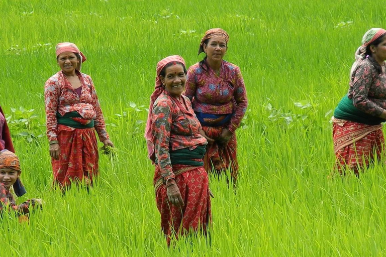 From Pokhara: Syangja Sirubari 4-Day Village Homestay Tour