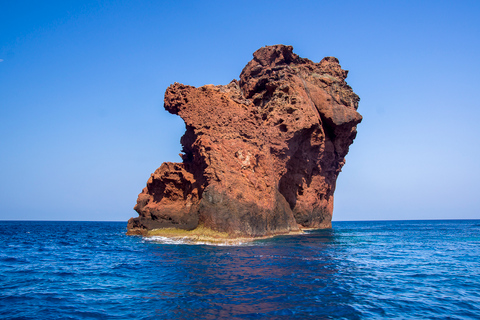 Da Sagone/Cargèse: Tour in barca di Scandola, Piana e Girolata