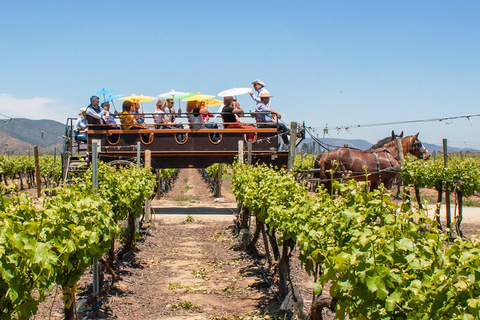 Valparaíso & Viña del Mar Tour with Winery Visit