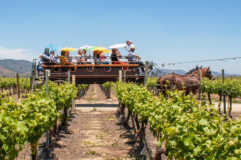 Valparaíso & Viña del Mar Tour with Winery Visit