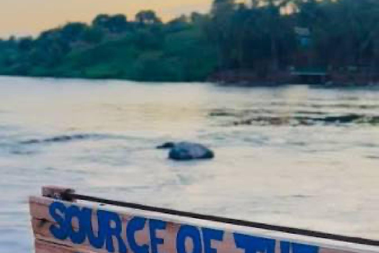 From Kampala: Source of the Nile Boat & Railway Museum Tour