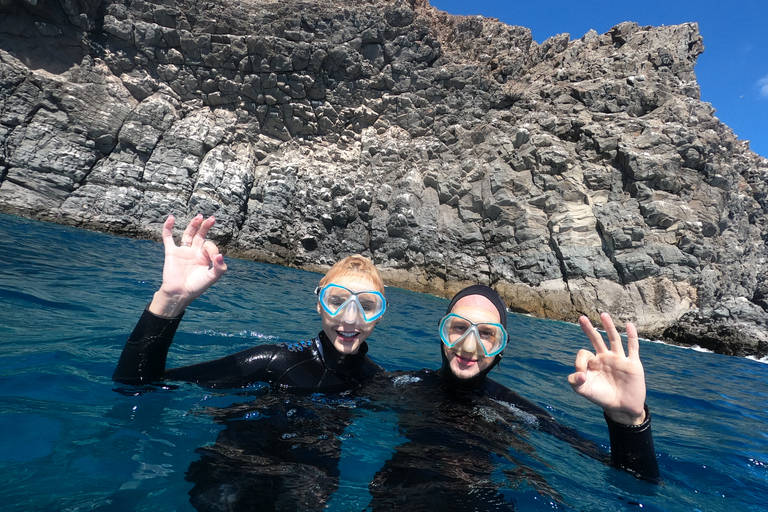 Tenerife: Beginners Scuba Dive in Puerto Colon Turtle Area