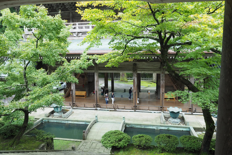 From Kanazawa: Eiheiji, Dinosaur Museum & Great Buddha