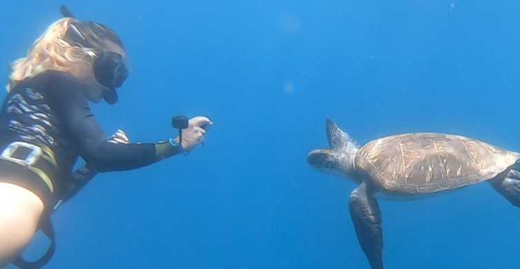 Tenerife: excursión de esnórquel en la zona de tortugas