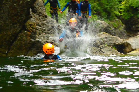 Salisburgo: viaggio di canyoning guidato di 4 ore per principianti