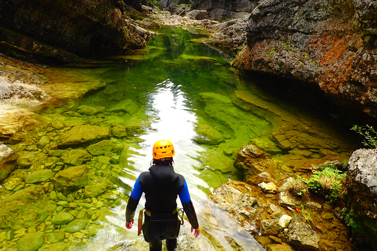 Salisburgo: viaggio di canyoning guidato di 4 ore per principianti