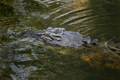 Darwin: Kakadu National Park & Wildlife Full Day Tour Kakadu National Park Tour with Crocodile Cruise