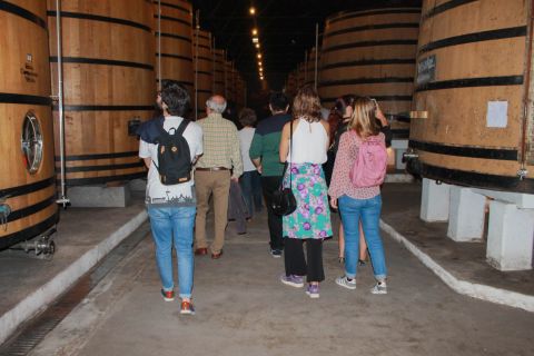 Food and Wine Tour: World's Oldest Port Wine Cave