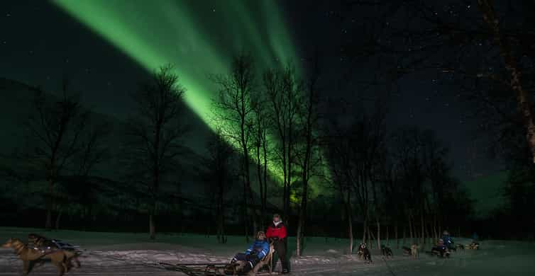 Tromsø Huskies y trineos de perros: lo MEJOR de 2024 - Cancelación GRATIS