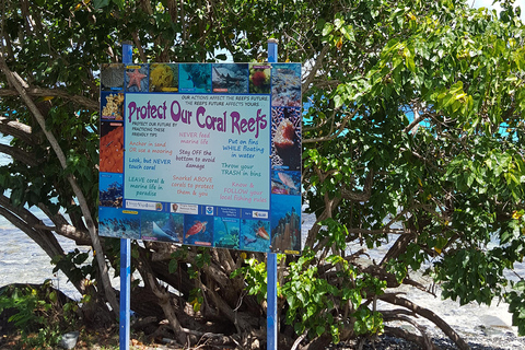 From St. Thomas: Guided St. John & Annaberg Plantation Tour From St. Thomas - West Indian Company Dock