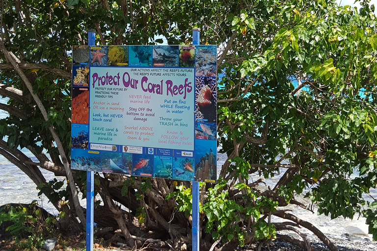 From St. Thomas: Guided St. John & Annaberg Plantation Tour From St. Thomas - West Indian Company Dock