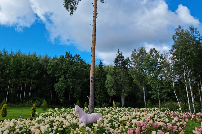 From Riga: Vidzeme Coast Half-Day Trip with Lunch