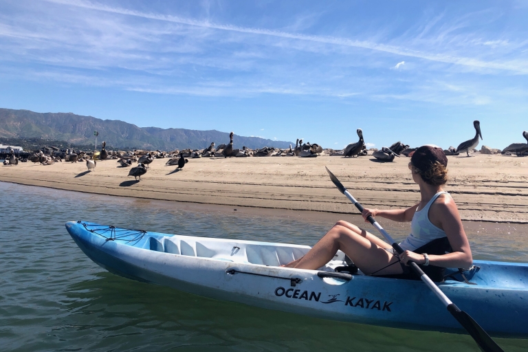 Santa Barbara : excursion d'une heure et demie en kayak dans le port